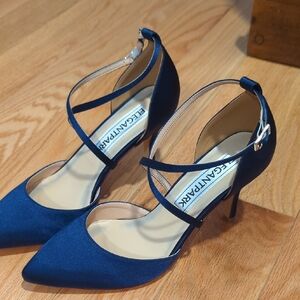 Elegant Park Navy Blue Strappy Heels